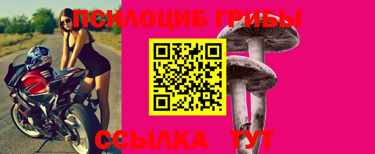 Псилоцибиновые грибы ЛСД  купить  сайты  Псилоцибиновые грибы Psilocybe  Апшеронск  Вход с VPN 